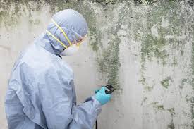 Best Air Quality Testing for Mold Spores  in River Falls, WI